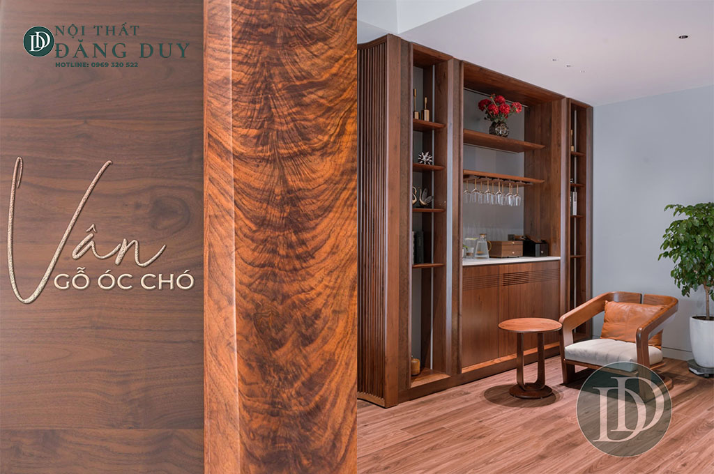 Ánh Sáng Và Màu Sắc Quyết Định Cảm Giác "Vượng Khí"
